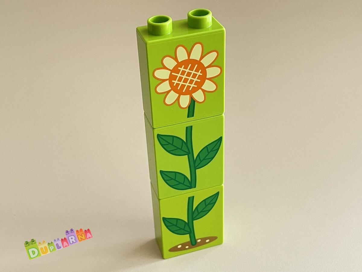 Lego Duplo - 3x Kostka s potiskem slunečnice