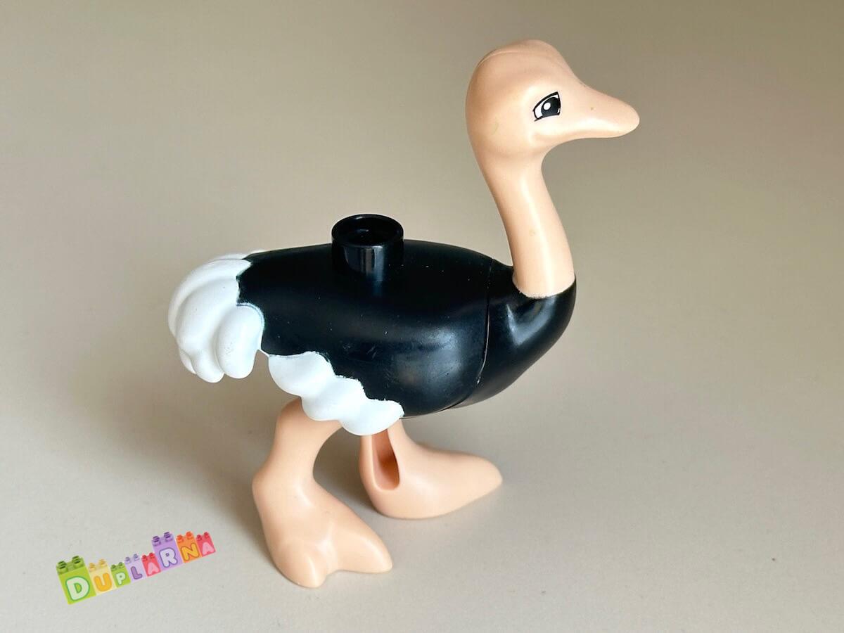 Lego Duplo Pštros