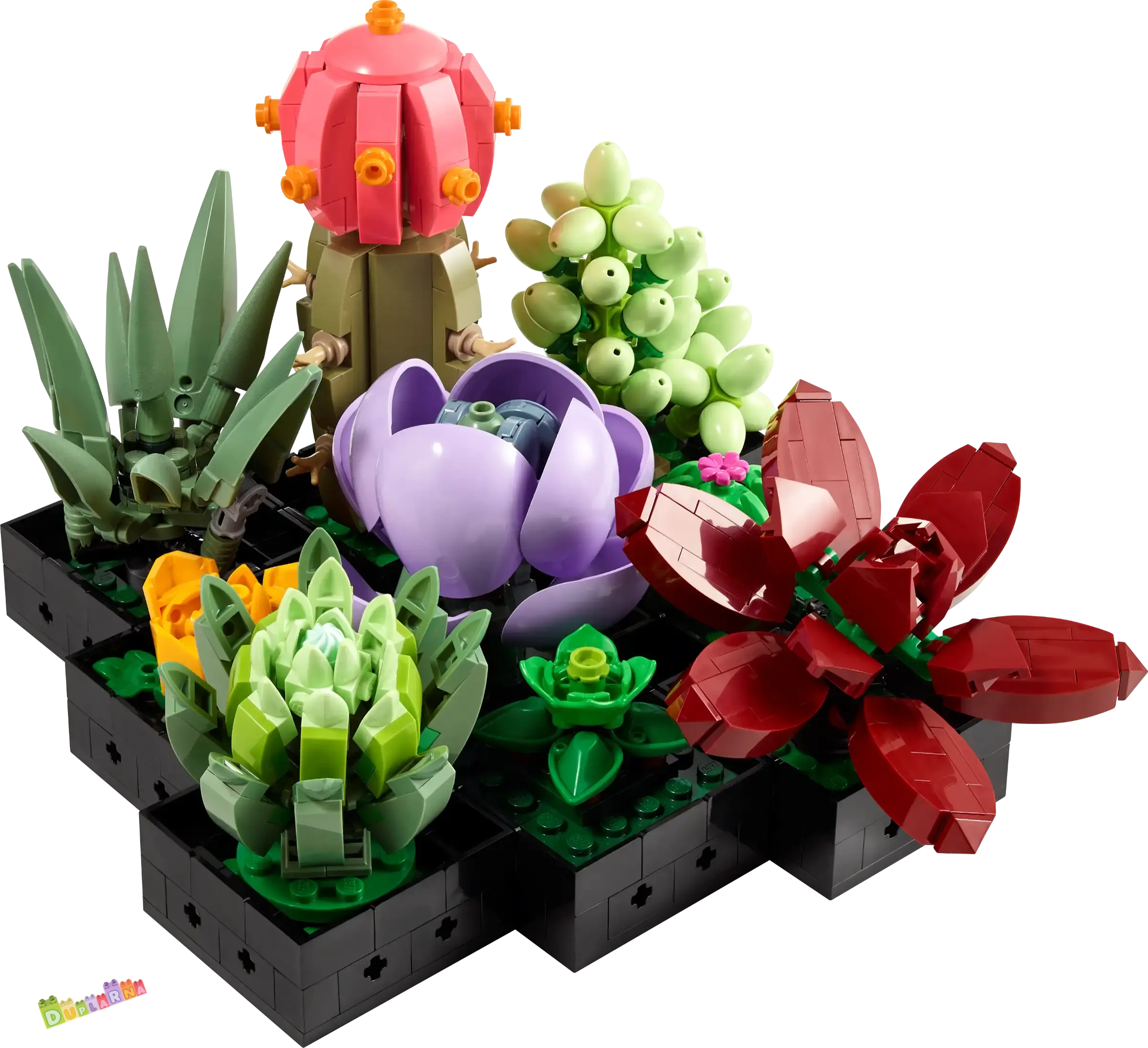 Lego 10309 Botanicals - Sukulenty