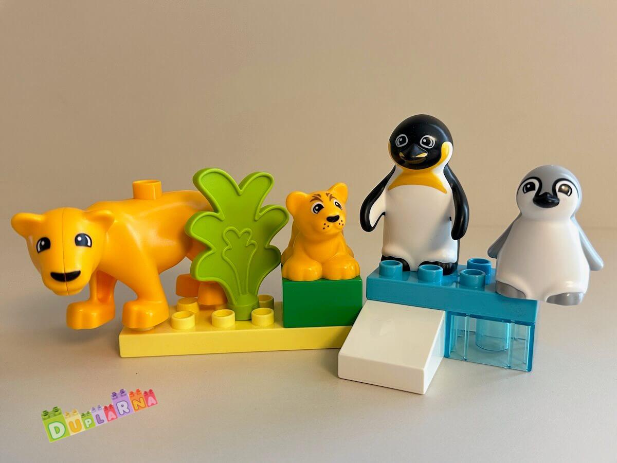 Lego Duplo 10442 - Zoo - Rodinky divokých zvířat: Tučňáci a lvi