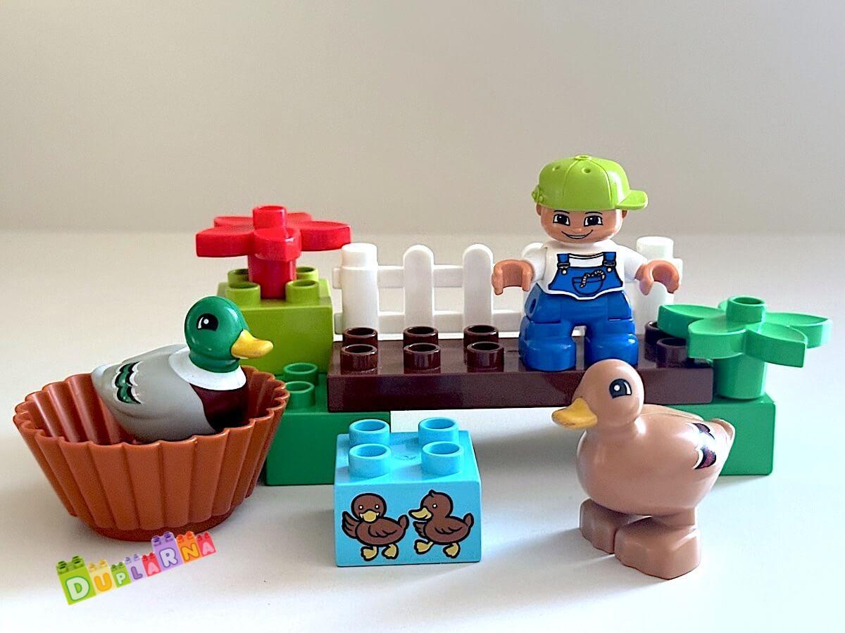 Lego Duplo 10581 - Divoké kachny 