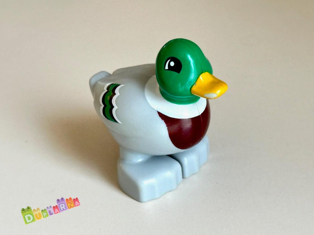 Lego Duplo Kačer (kachna)