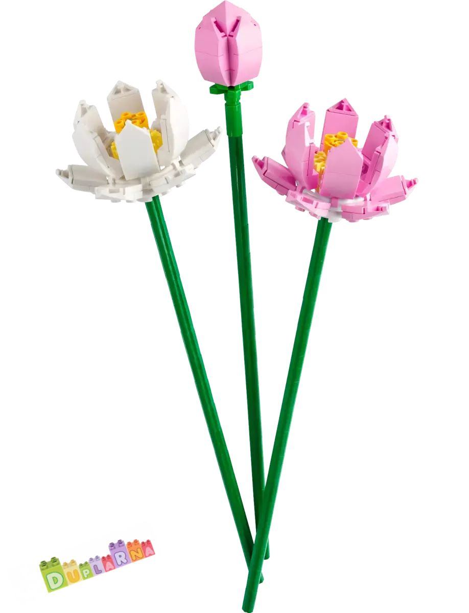 Lego Botanicals 40647 - Lotosové květy / Kytka
