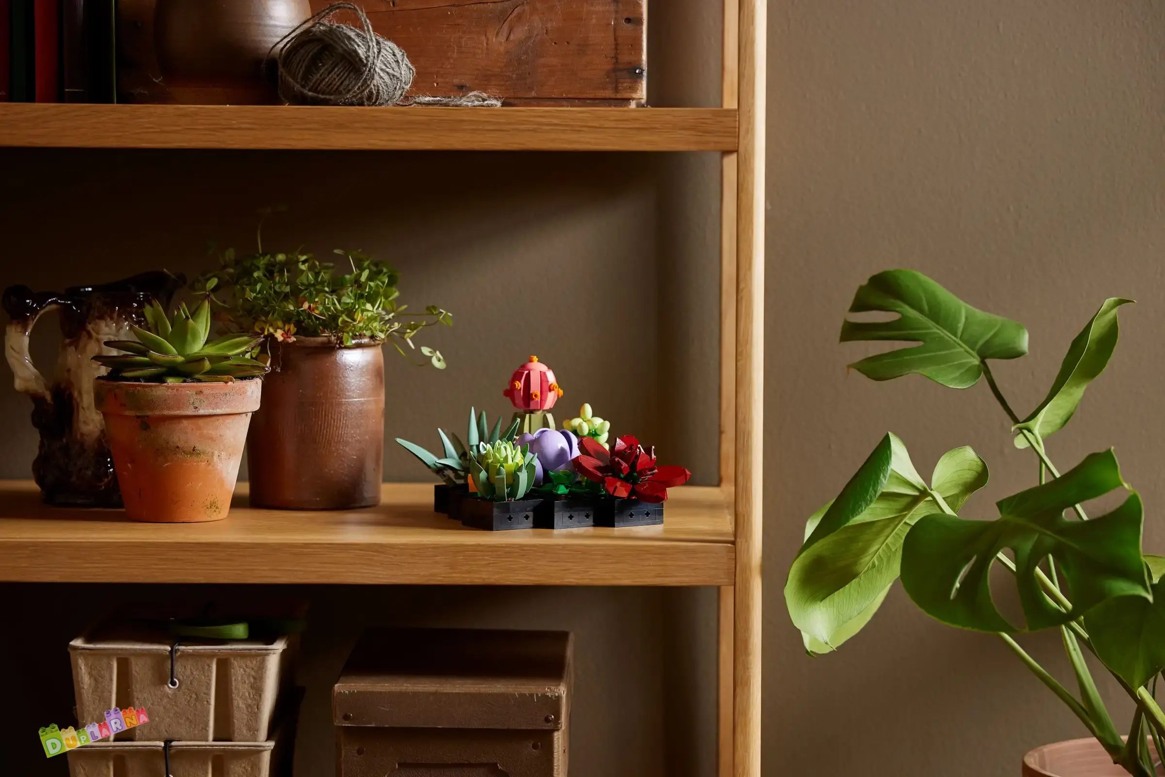 Lego 10309 Botanicals - Sukulenty