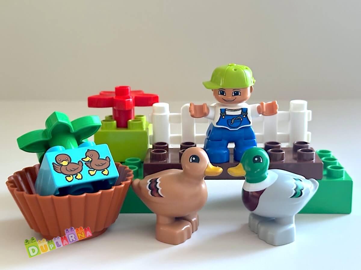 Lego Duplo 10581 - Divoké kachny 