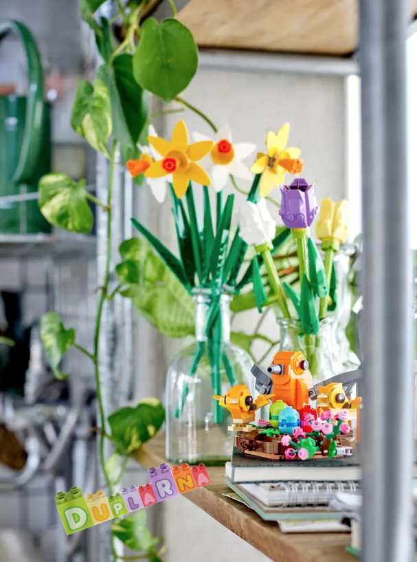 Lego 40639 - Ptačí hnízdo