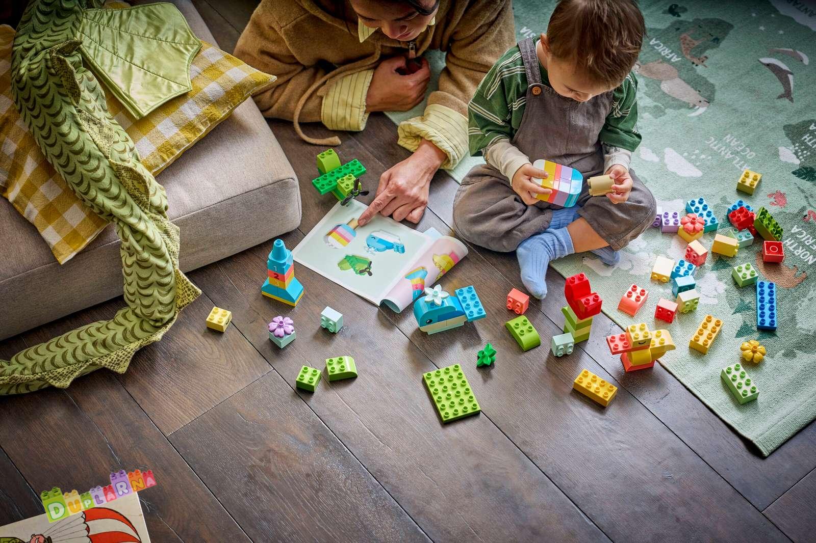 Lego Duplo 10479 - Barevný kreativní box s kostkami