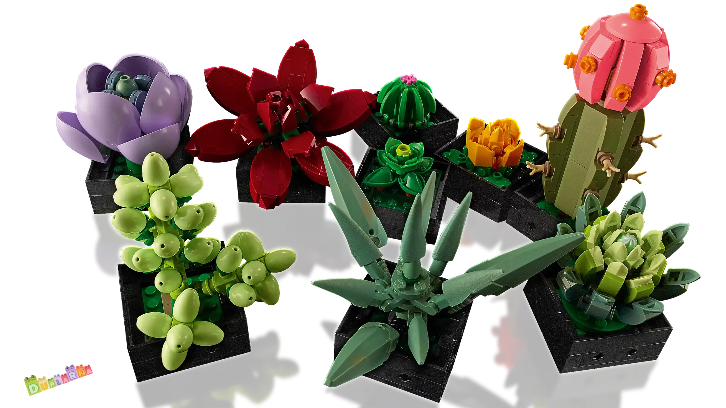 Lego 10309 Botanicals - Sukulenty