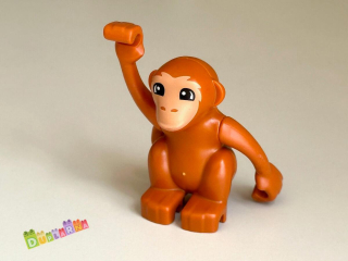 Lego Duplo Opice / Orangutan