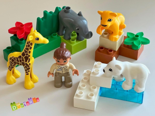 Lego Duplo 4962 - Baby ZOO
