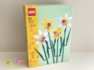 Lego Botanicals 40747 - Narcisy / Kytka