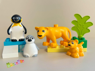 Lego Duplo 10442 - Zoo - Rodinky divokých zvířat: Tučňáci a lvi