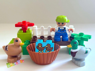 Lego Duplo 10581 - Divoké kachny 